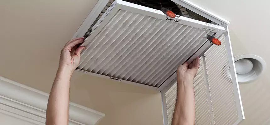 Preventive Cockroach-Proofing for Ducts in Channelview