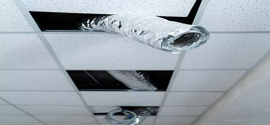 Our Air Duct Pet Hair Removal Services in Channelview, TX