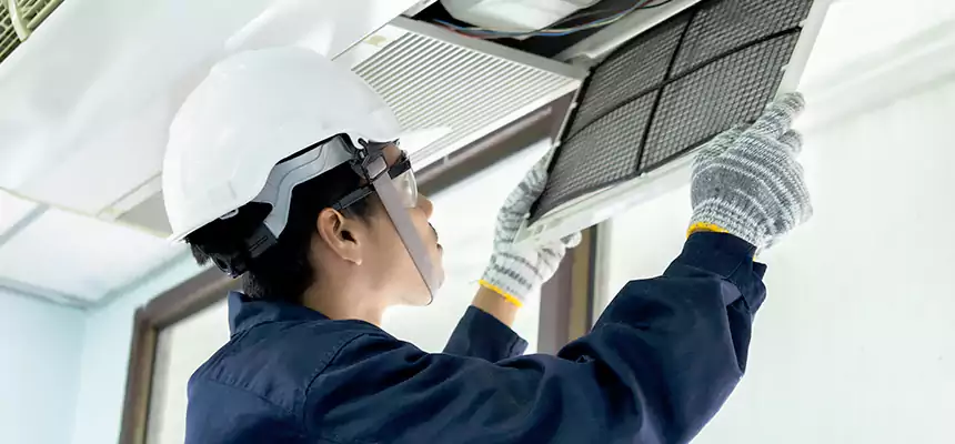 Our Mold & Mildew Removal from Air Ducts Services in Channelview, TX