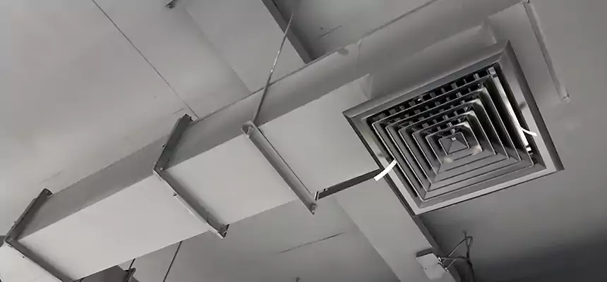 Our Rodent Droppings In Vents Services in Channelview, TX