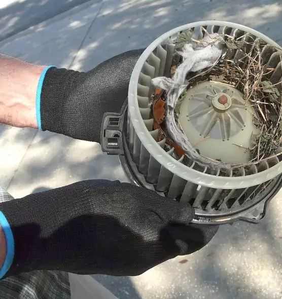 About Air Duct Mice Removal in Channelview, TX