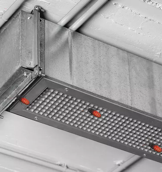 Affordable Insect Removal from Air Ducts in Channelview, TX