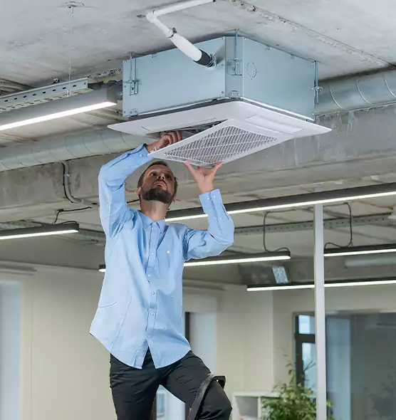 Advanced Rodent Droppings In Vents in Channelview, TX