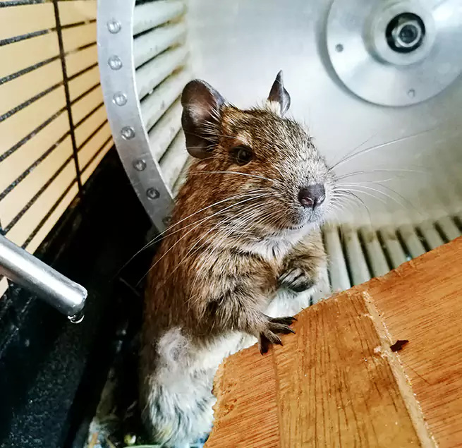 Why Homeowners & Businesses Trust Us Channelview, TX