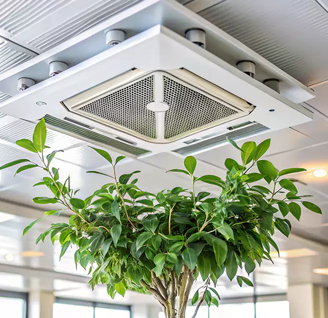 Why Homeowners & Businesses Trust Us in Channelview, TX