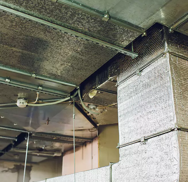 Why Homeowners & Businesses Trust Us in Channelview, TX?